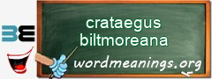 WordMeaning blackboard for crataegus biltmoreana